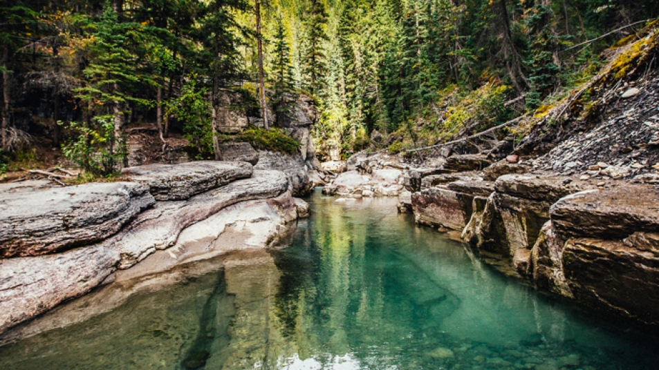 Jasper's Maligne Valley is one of those breathtaking places Urie holds dear.