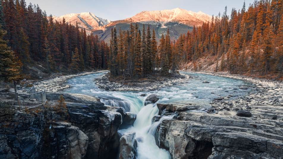 Sunwapta Falls