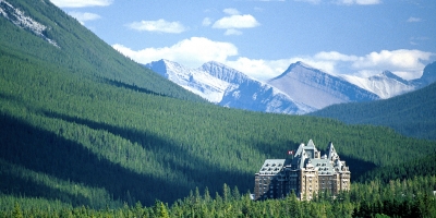 Fairmont banff springs hotel in the trees