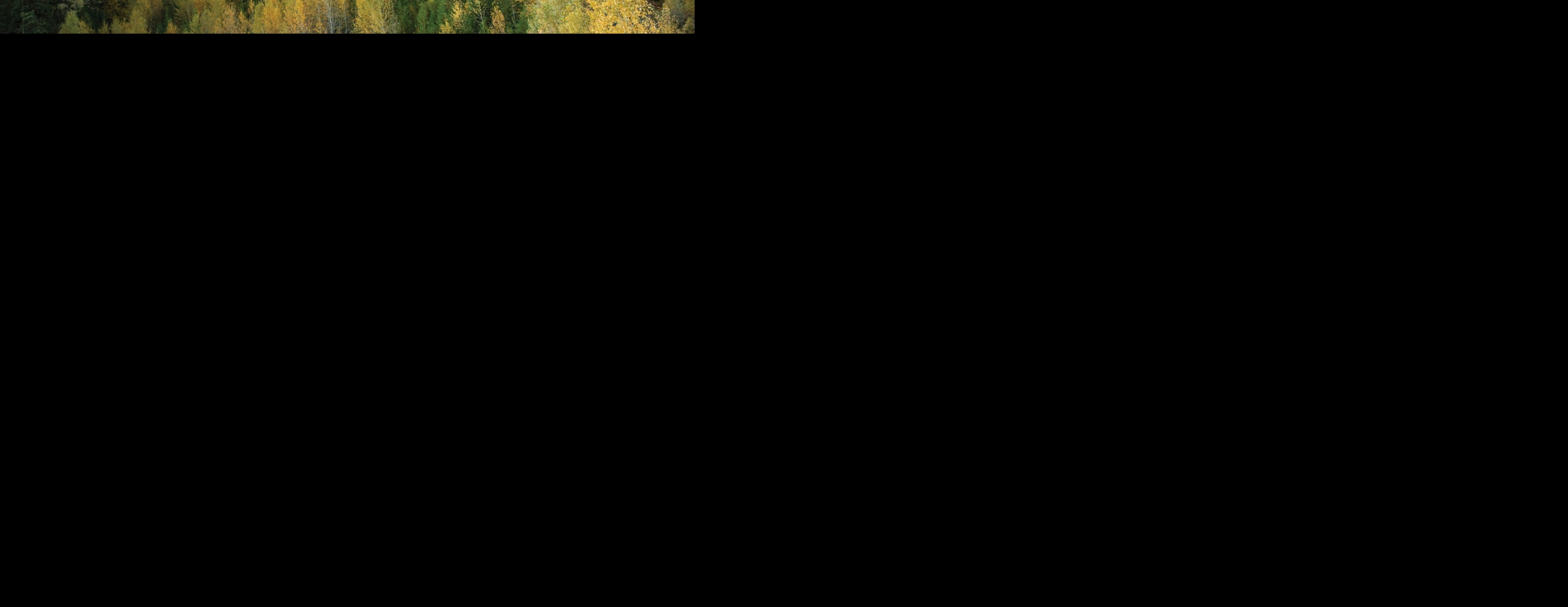 Home Page - 