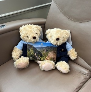 Rocky Mountaineer stuffed bears on a GoldLeaf seat