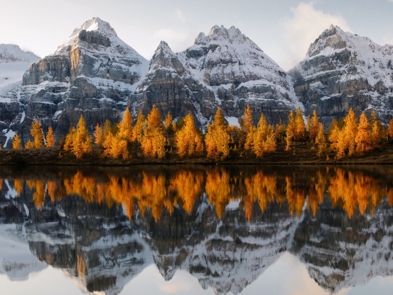 Photo by Kalen Emsley on Unsplash